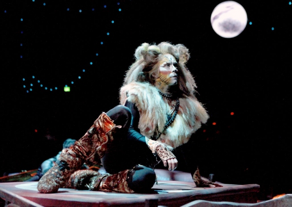 Kevin Loreque (Rum Tum Tugger) Photo