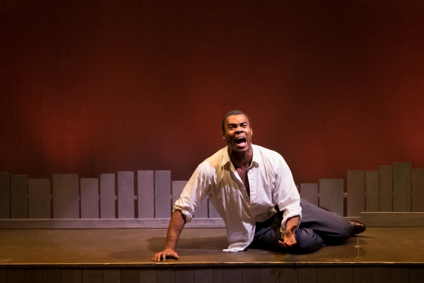 Photo Flash: Mercury Theater Chicago's THE COLOR PURPLE, Opening 8/26 Image