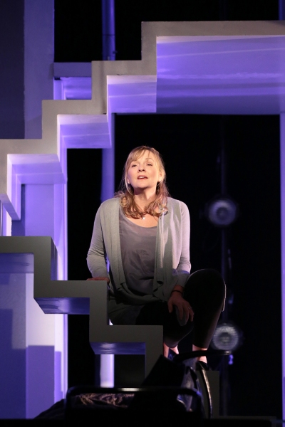 Photo Flash: Drury Lane Theatre's NEXT TO NORMAL, Now Playing Through 10/6 Image