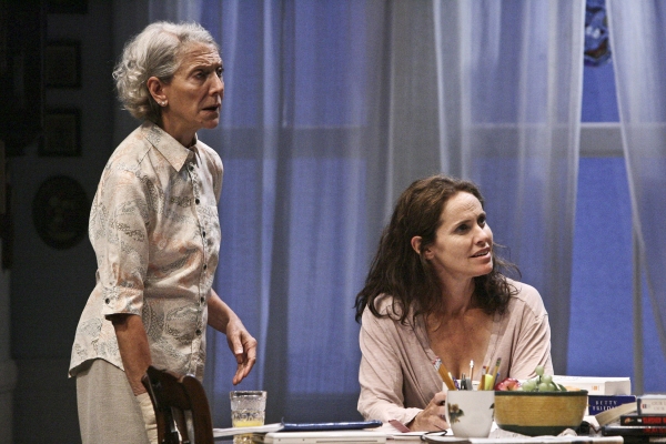 Photo Flash: First Look at Amy Brenneman, Beth Dixon, Virginia Kull and More in RAPTURE, BLISTER, BURN at Geffen Playhouse Image