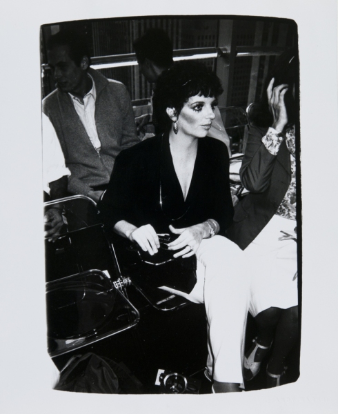 Photo Flash: ANDY WARHOL's Rare Celebrity Photographs for Sale - Sylvester Stallone, Liza Minnelli & More! 
