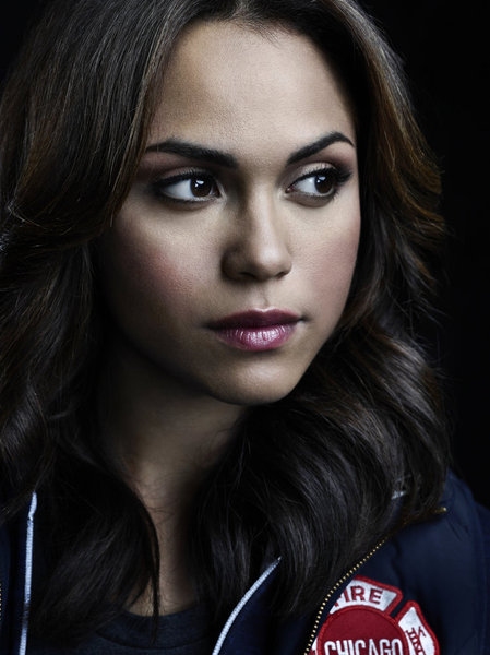 Photo Flash: Promotional Photos for CHICAGO FIRE Season 2 Image