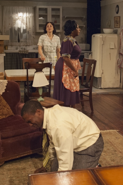 Photo Flash: First Look at TimeLine Theatre's A RAISIN IN THE SUN Image
