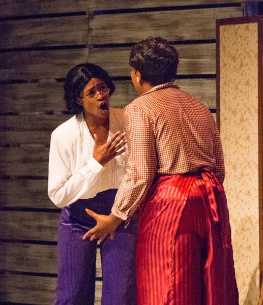Photo Flash: First Look at South Bend Civic Theatre's THE COLOR PURPLE 