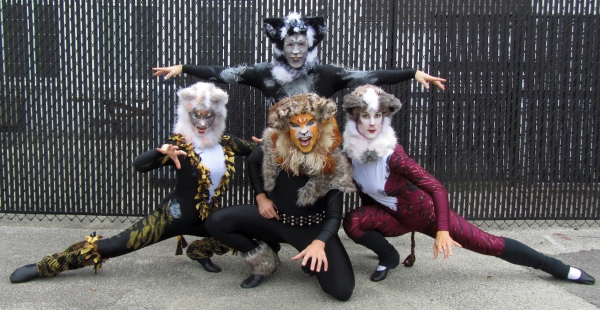 Photo Flash: Promo Shots for Highland Park Players' CATS, Begin. 10/4 Image