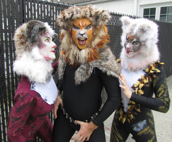 Photo Flash: Promo Shots for Highland Park Players' CATS, Begin. 10/4 Image