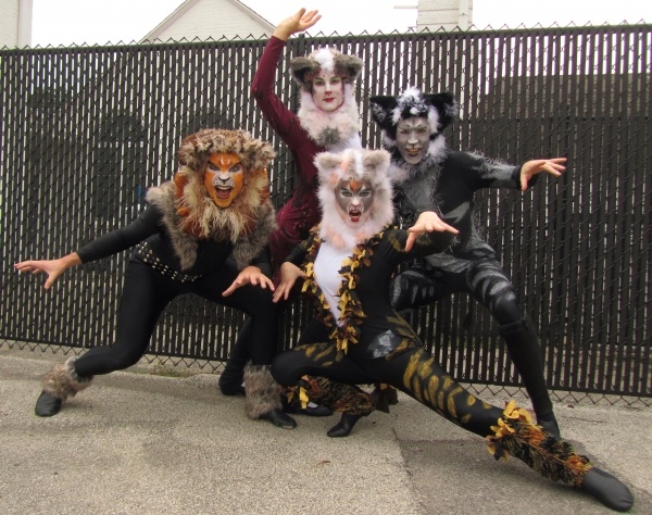 Photo Flash: Promo Shots for Highland Park Players' CATS, Begin. 10/4 Image