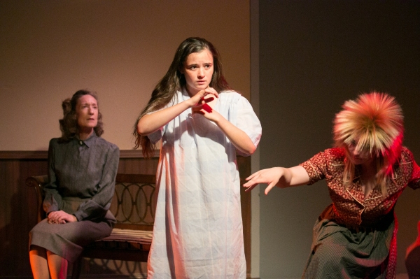 Photo Flash: First Look at Miners Alley Playhouse's I NEVER PROMISED YOU A ROSE GARDEN Image