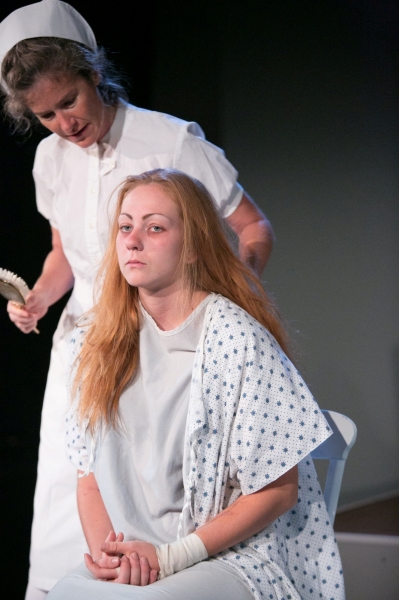 Photo Flash: First Look at Miners Alley Playhouse's I NEVER PROMISED YOU A ROSE GARDEN Image