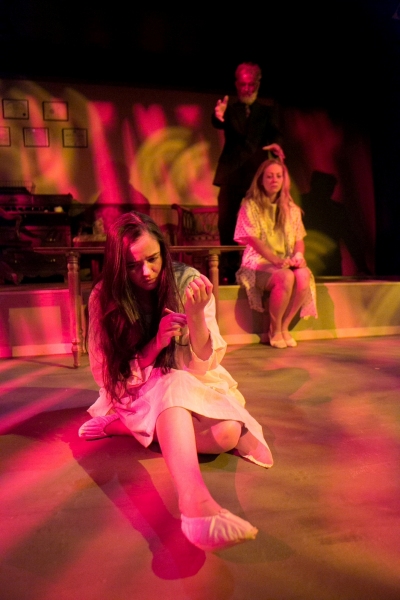 Photo Flash: First Look at Miners Alley Playhouse's I NEVER PROMISED YOU A ROSE GARDEN Image