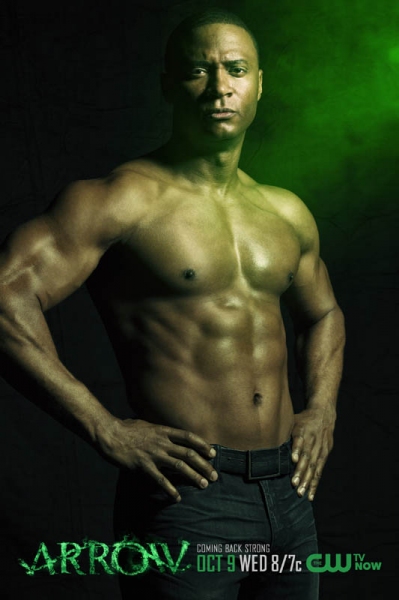 Photo Flash: The CW Unveils New Set of ARROW Season 2 Posters Image