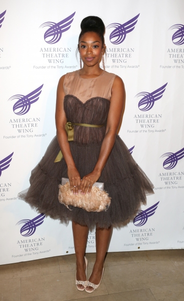 Photo Coverage: On the American Theatre Wing Gala Red Carpet with Honoree Harold Prince & More! Image