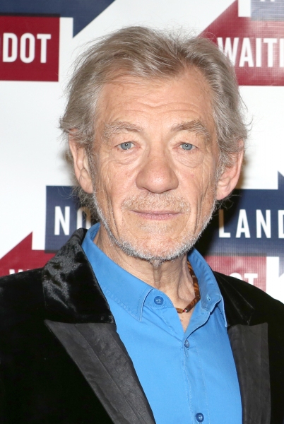 Photo Coverage: Cast of WAITING FOR GODOT and NO MAN'S LAND Meets the Press - McKellen, Stewart & More! Image