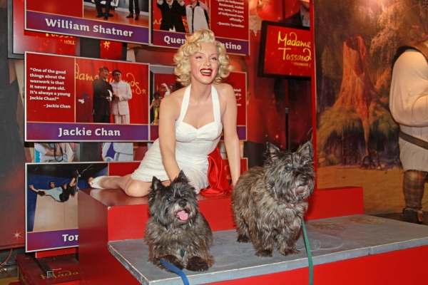 Photo Flash: THE WIZARD OF OZ Celebrates Opening at the Pantages  Image