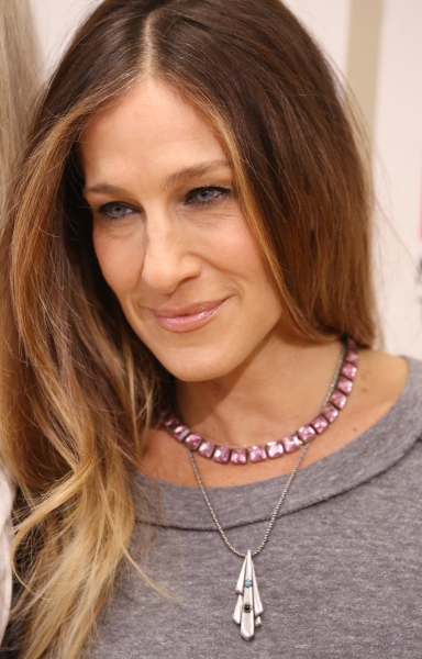 Photo Coverage: Sarah Jessica Parker, Blythe Danner & THE COMMONS OF PENSACOLA Cast Meet the Press Image