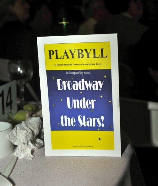 Photo Flash: The Development Wing Hosts 4th Annual BROADWAY UNDER THE STARS Gala 