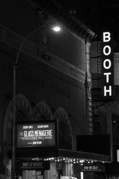 Photo Coverage: THE GLASS MENAGERIE Opening Night Curtain Call  Image