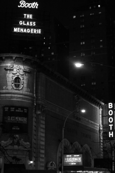 Photo Coverage: THE GLASS MENAGERIE Opening Night Curtain Call  Image