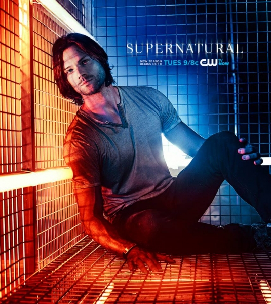Photo Flash: SUPERNATURAL Season 9 Posters Image