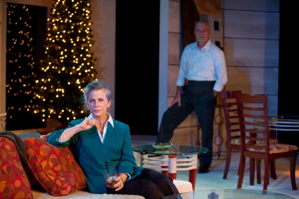 Photo Flash: First Look at Mad Cow Theatre's OTHER DESERT CITIES, Opening Tonight Image