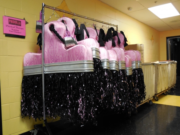 Photo Flash: First Looks at PRISCILLA, QUEEN OF THE DESERT: THE MUSICAL Tour Stop at TUTS  Image