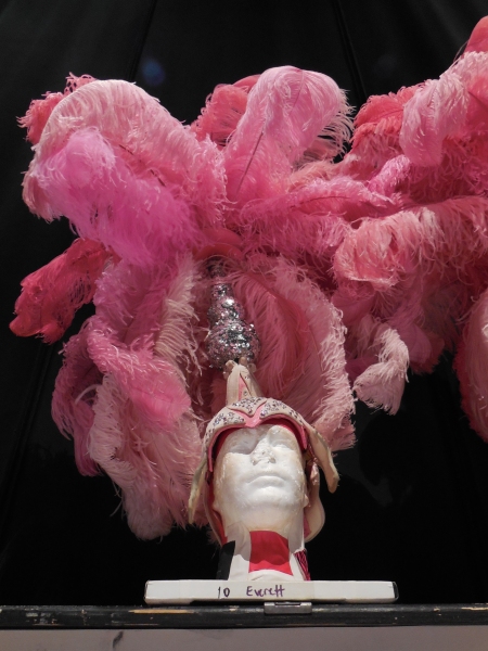 Photo Flash: First Looks at PRISCILLA, QUEEN OF THE DESERT: THE MUSICAL Tour Stop at TUTS  Image