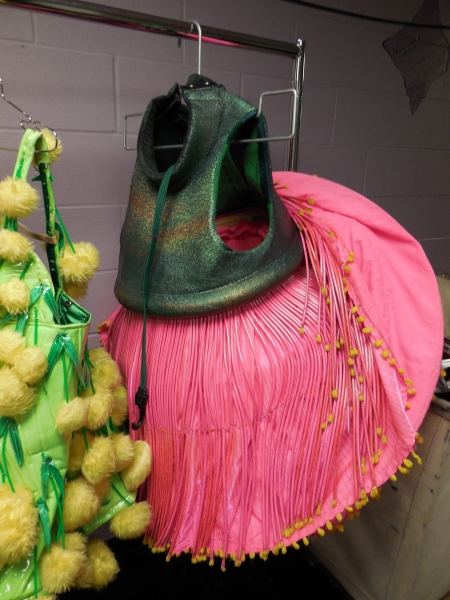 Photo Flash: First Looks at PRISCILLA, QUEEN OF THE DESERT: THE MUSICAL Tour Stop at TUTS  Image