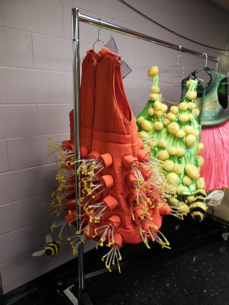 Photo Flash: First Looks at PRISCILLA, QUEEN OF THE DESERT: THE MUSICAL Tour Stop at TUTS 