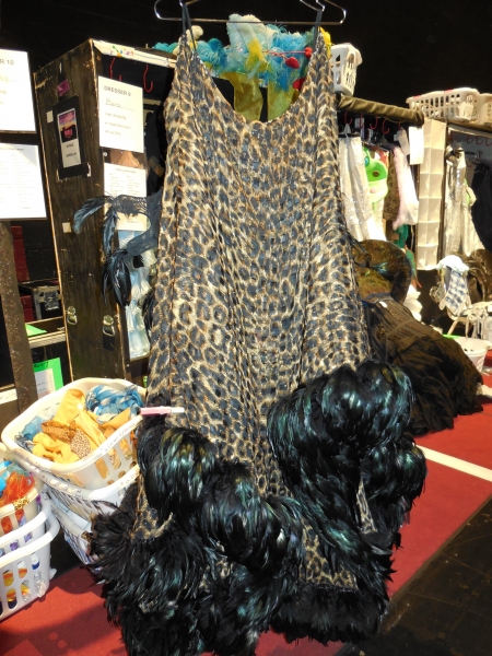 Photo Flash: First Looks at PRISCILLA, QUEEN OF THE DESERT: THE MUSICAL Tour Stop at TUTS  Image