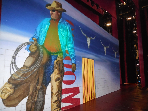 Photo Flash: First Looks at PRISCILLA, QUEEN OF THE DESERT: THE MUSICAL Tour Stop at TUTS  Image