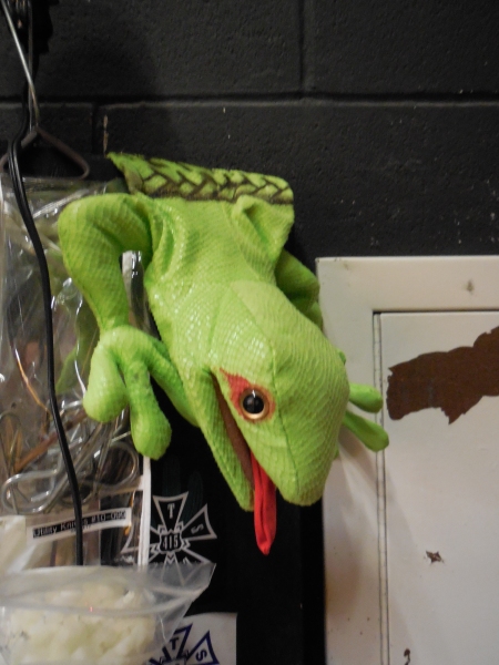 Photo Flash: First Looks at PRISCILLA, QUEEN OF THE DESERT: THE MUSICAL Tour Stop at TUTS  Image