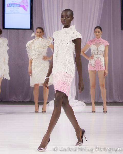 Photo Coverage: Cashmere's 10th Anniversary Gala features Bathroom Tissue Dresses on the Red Carpet Image