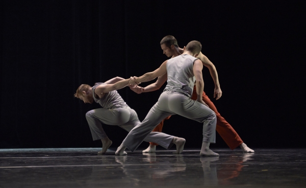 Photo Flash: SHIFTING SILENCE, Choreographed by Robert Glumbek at ProArteDanza  Image