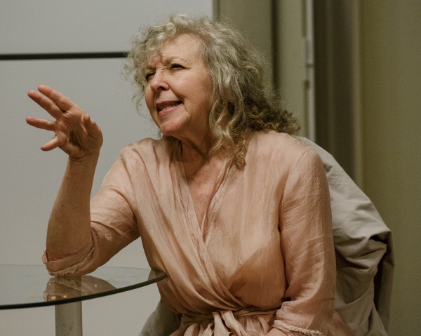 Photo Flash: First Look at Mark Blum, Kathryn Grody and More in Primary Stages' THE MODEL APARTMENT Image