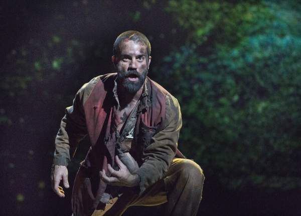 Photo Flash: LES MISERABLES Raises the Barricade in Toronto; First Look at Ramin Karimloo, Earl Carpenter & More on Stage! Image