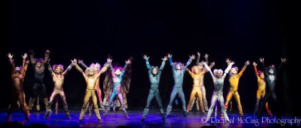 Photo Coverage: Elgin & Winter Garden's 100th Chandelier Gala Image