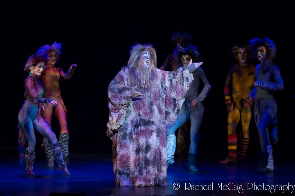 Photo Coverage: Elgin & Winter Garden's 100th Chandelier Gala Image
