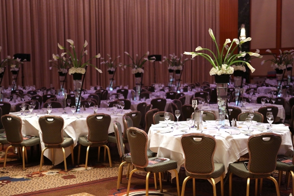 Photo Coverage: Ann-Margret Honored at Career Transition For Dancers' BROADWAY & BEYOND Gala  Image