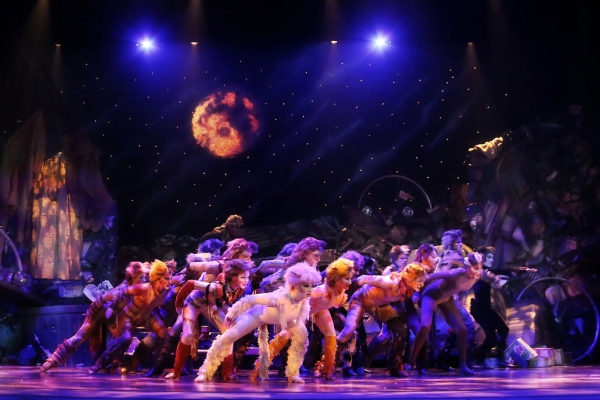 Photo Flash: First Look at Kenneth Prymus, Jennifer Shrader and More in NCT's CATS Image