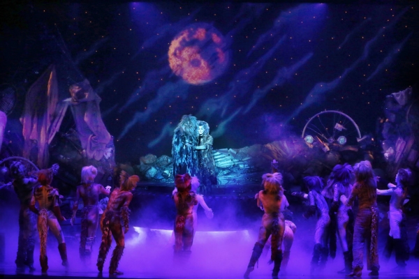 Photo Flash: First Look at Kenneth Prymus, Jennifer Shrader and More in NCT's CATS Image