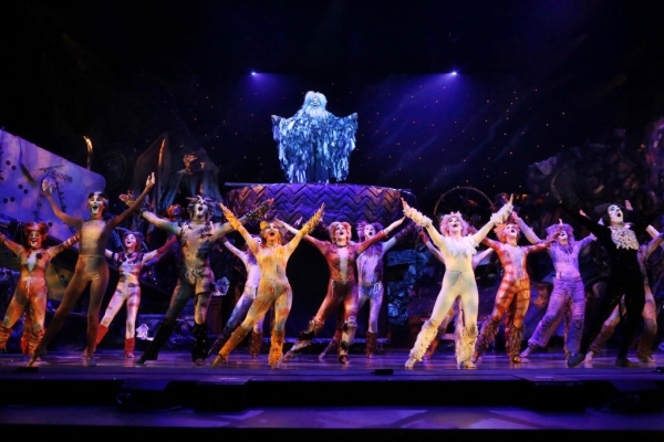 Photo Flash: First Look at Kenneth Prymus, Jennifer Shrader and More in NCT's CATS Image