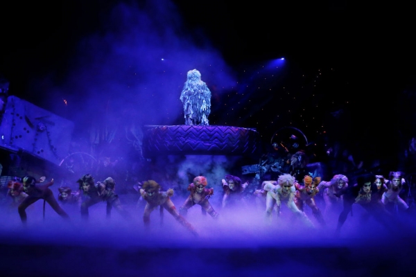 Photo Flash: First Look at Kenneth Prymus, Jennifer Shrader and More in NCT's CATS Image