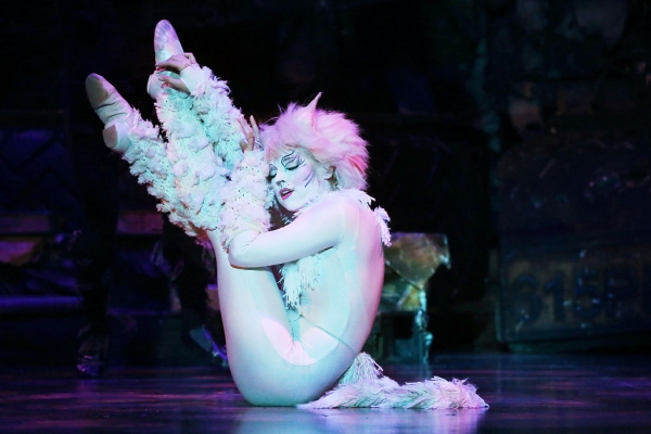 Photo Flash: First Look at Kenneth Prymus, Jennifer Shrader and More in NCT's CATS Image