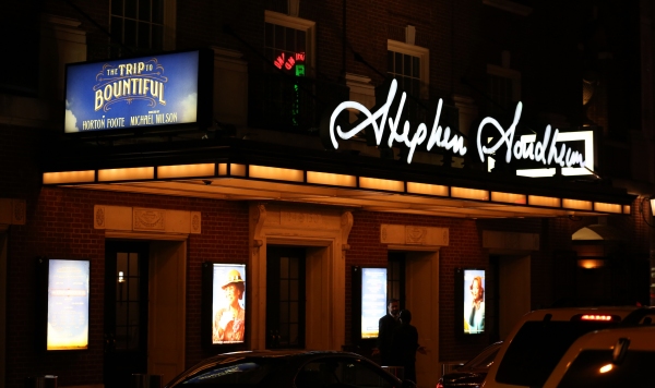 Photo Coverage: Cicely Tyson & THE TRIP TO BOUNTIFUL Cast Take Final Bow on Broadway Image