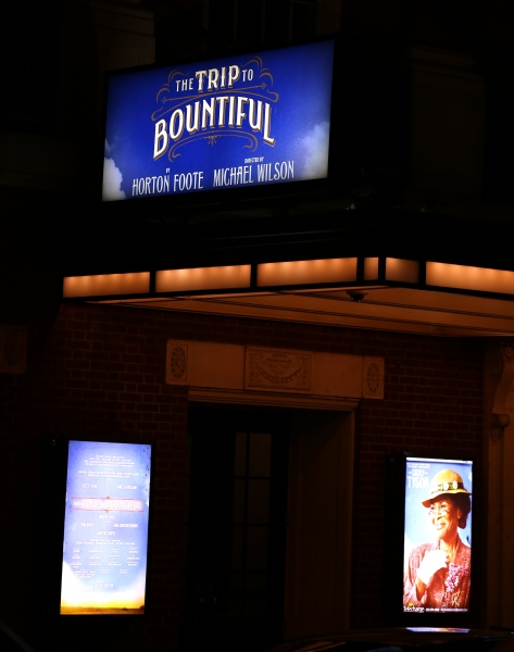 Photo Coverage: Cicely Tyson & THE TRIP TO BOUNTIFUL Cast Take Final Bow on Broadway Image