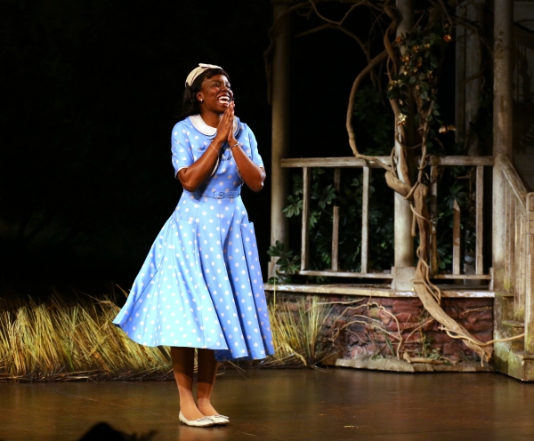 Photo Coverage: Cicely Tyson & THE TRIP TO BOUNTIFUL Cast Take Final Bow on Broadway Image