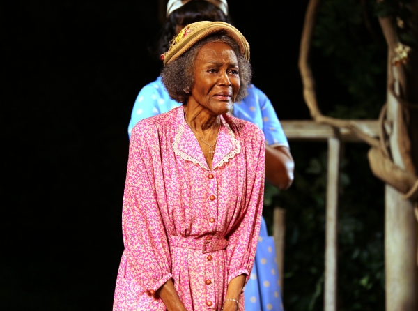 Photo Coverage: Cicely Tyson & THE TRIP TO BOUNTIFUL Cast Take Final Bow on Broadway Image