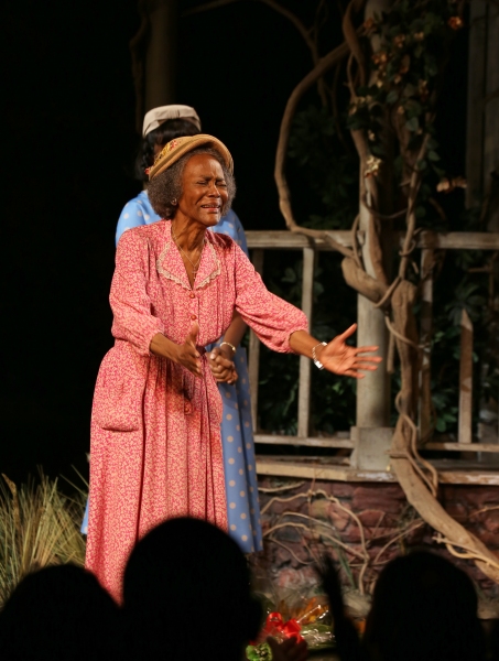 Photo Coverage: Cicely Tyson & THE TRIP TO BOUNTIFUL Cast Take Final Bow on Broadway Image