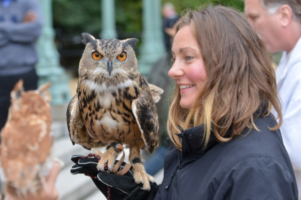 Photo Flash: The Urban Park Ranges' 16th Annual RAPTOR FEST in Prospect Park Set for Today  Image