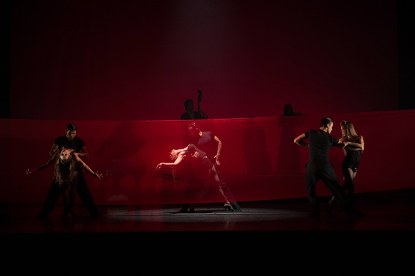 Photos and Video: First Look at TANGO FIRE, Returning to Toronto, Nov 8 Image